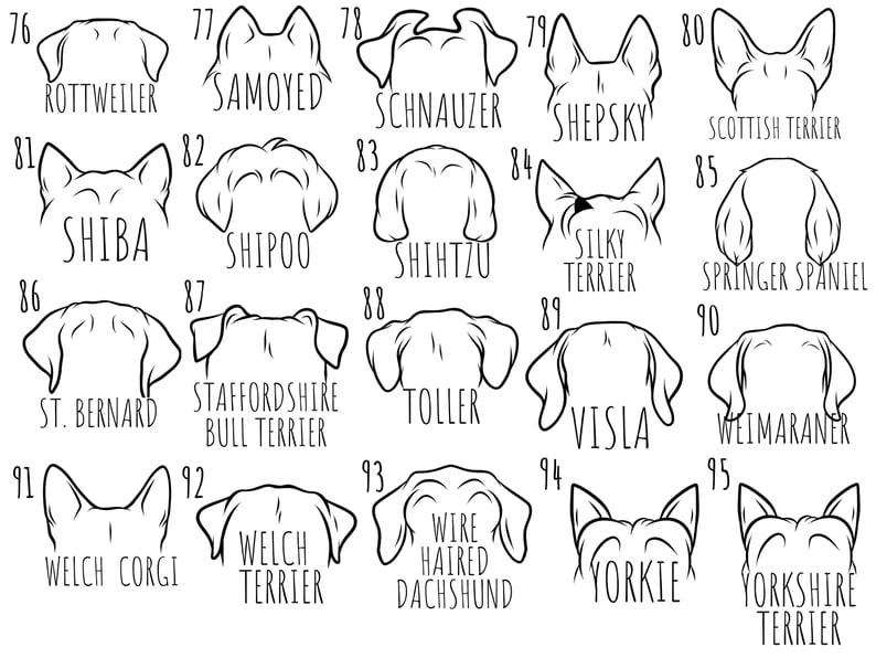 Custom Pet Names Sweatshirt, Custom Dog Ears Sweatshirt, Dog Mom Sweatshirt, Dog Lover Sweatshirt, Dog Name Sweatshirt, Pet Lover Gift