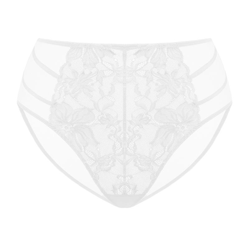 Live Exclusive HSIA Pretty In Petals Floral Lace Sheer Mesh Back Underwear High-Rise Brief Matching Panty