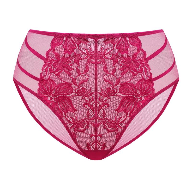 Live Exclusive HSIA Pretty In Petals Floral Lace Sheer Mesh Back Underwear High-Rise Brief Matching Panty