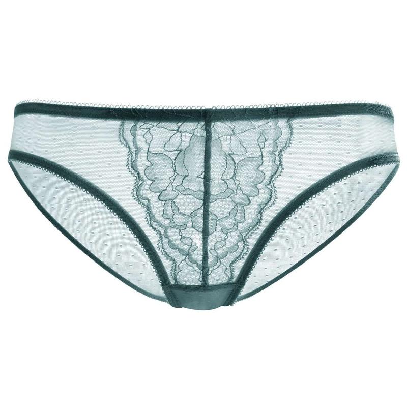 HSIA Enchante Floral Lace Sheer Mesh Back Mid-Rise Brief Matching Panty Underwear